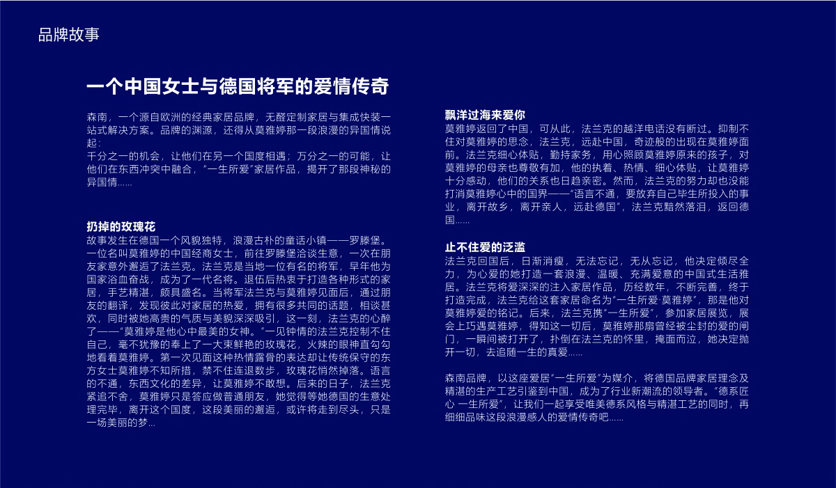 森南公司品牌形象/宣傳畫冊/LOGO設計8